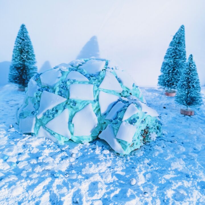 Chocolate Igloo Cake