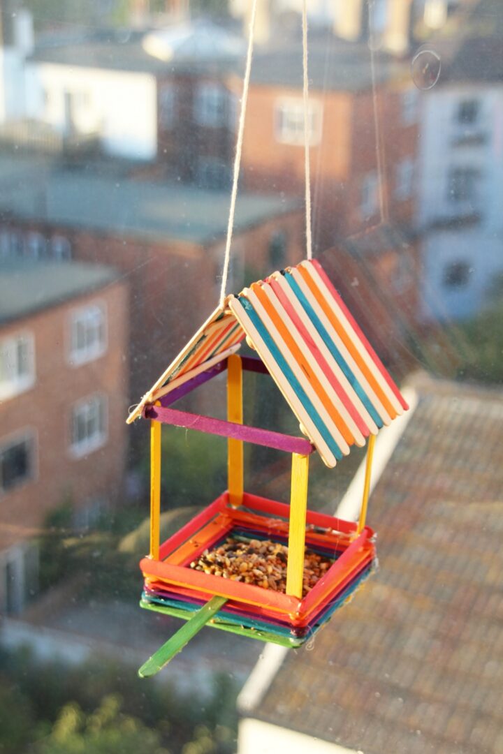 Bird House Feeder