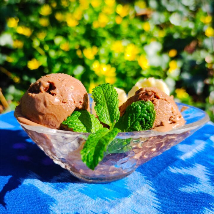 Nutty Chocolate Banana No-Dairy Ice Cream